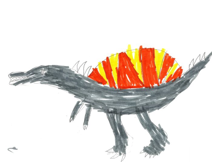 A marker drawing of a grey sail-backed dinosaur with a red and yellow fan along its spine