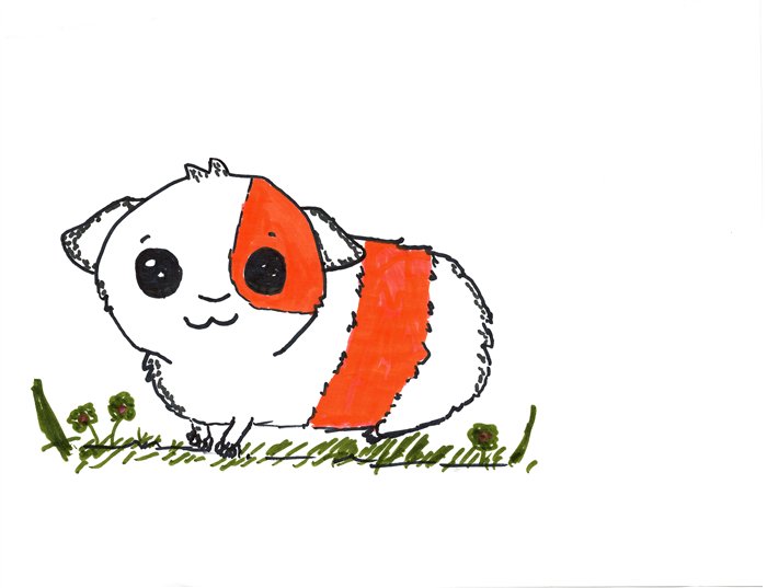 A marker drawing of Pickle with her patch, standing in a meadow